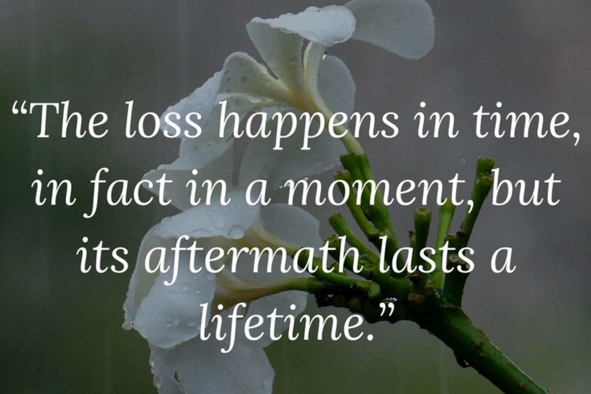 Loss – The Journey and the Experience Loss – The Journey and the Experience