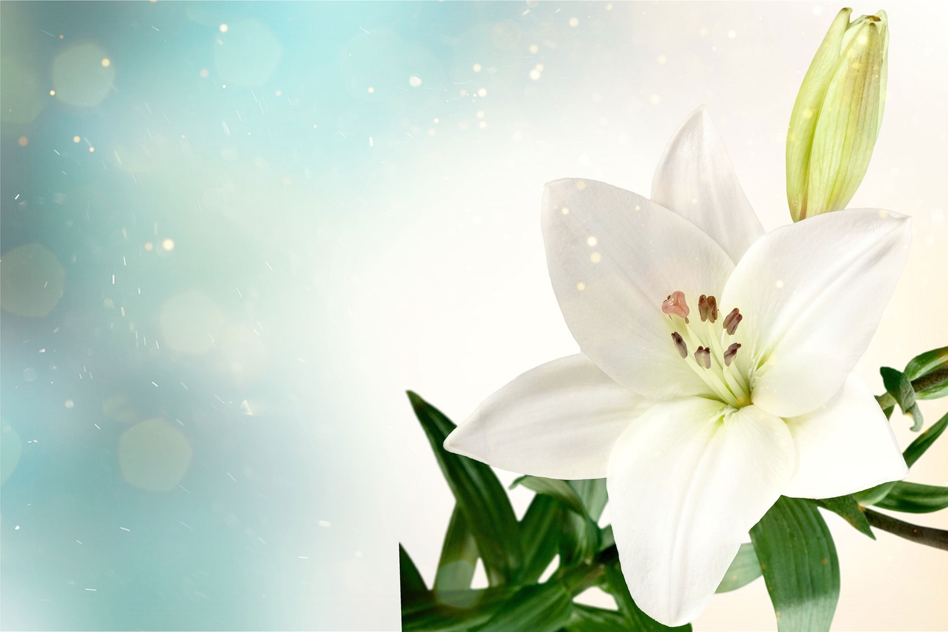 Prayers at times of Illness and Bereavement Prayers at times of Illness and Bereavement