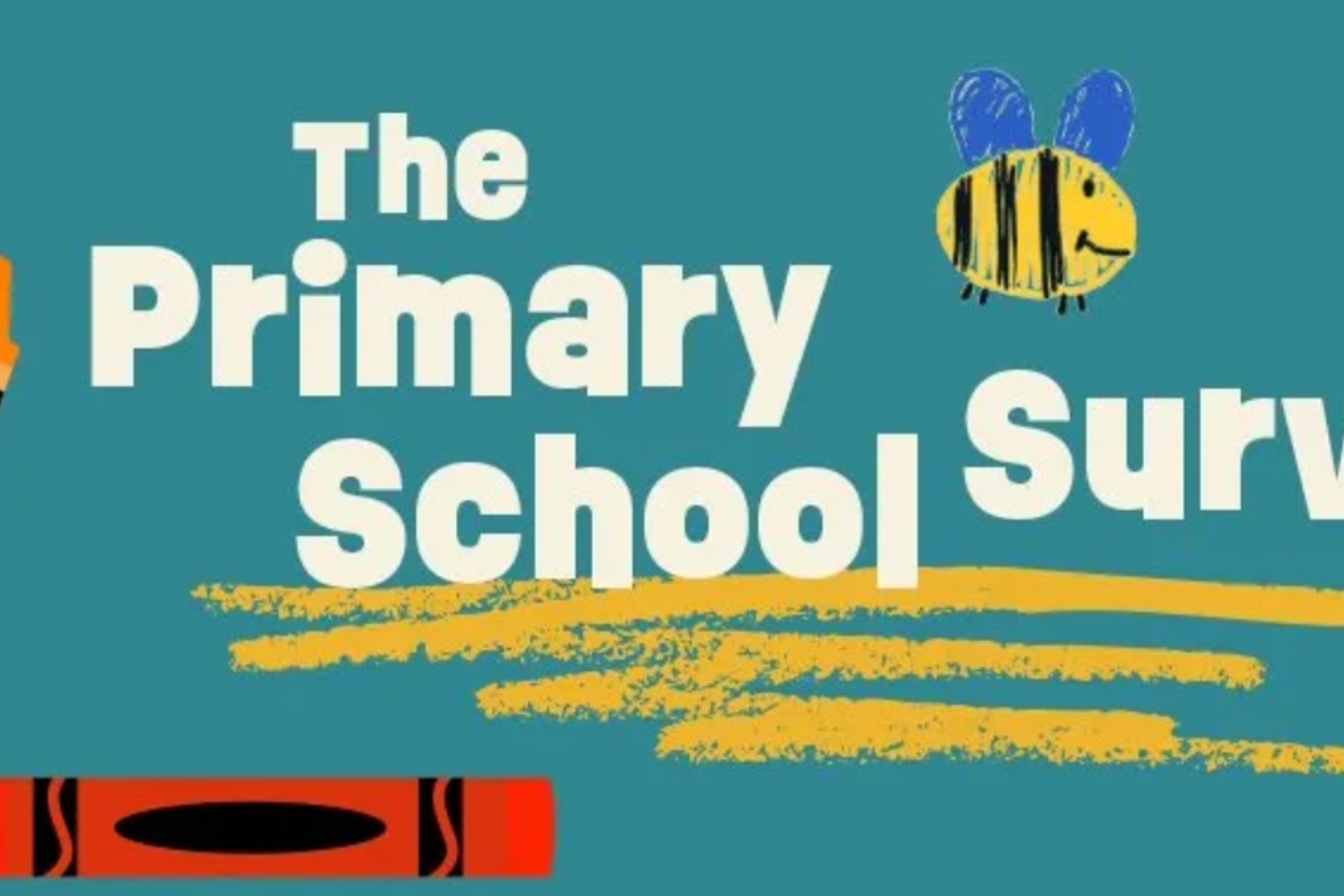 Primary School Survey