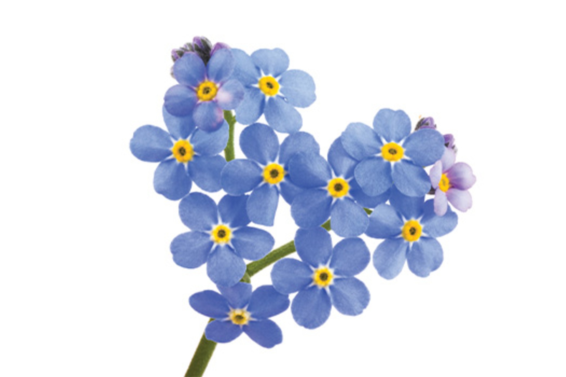 Bereavement Support Information Evening Bereavement Support Information Evening