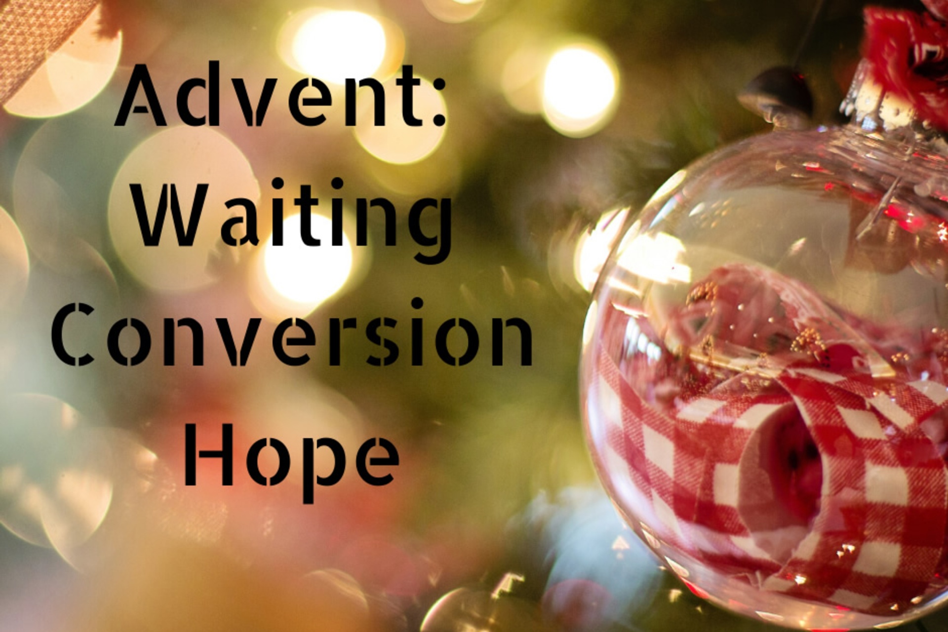 Day 8: Sunday 8 December 2019 – Second Sunday of Advent