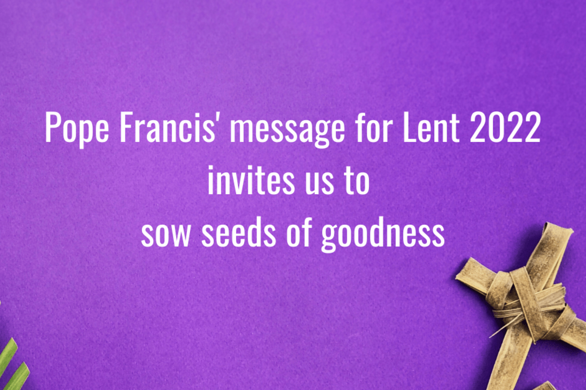 Sow seeds of goodness – Pope Francis' 2022 Lenten message