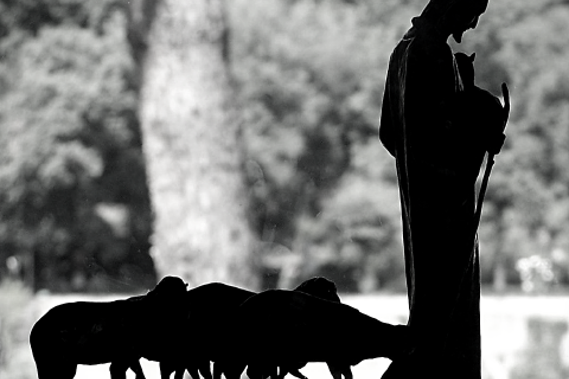 Prayer for Vocations Prayer for Vocations