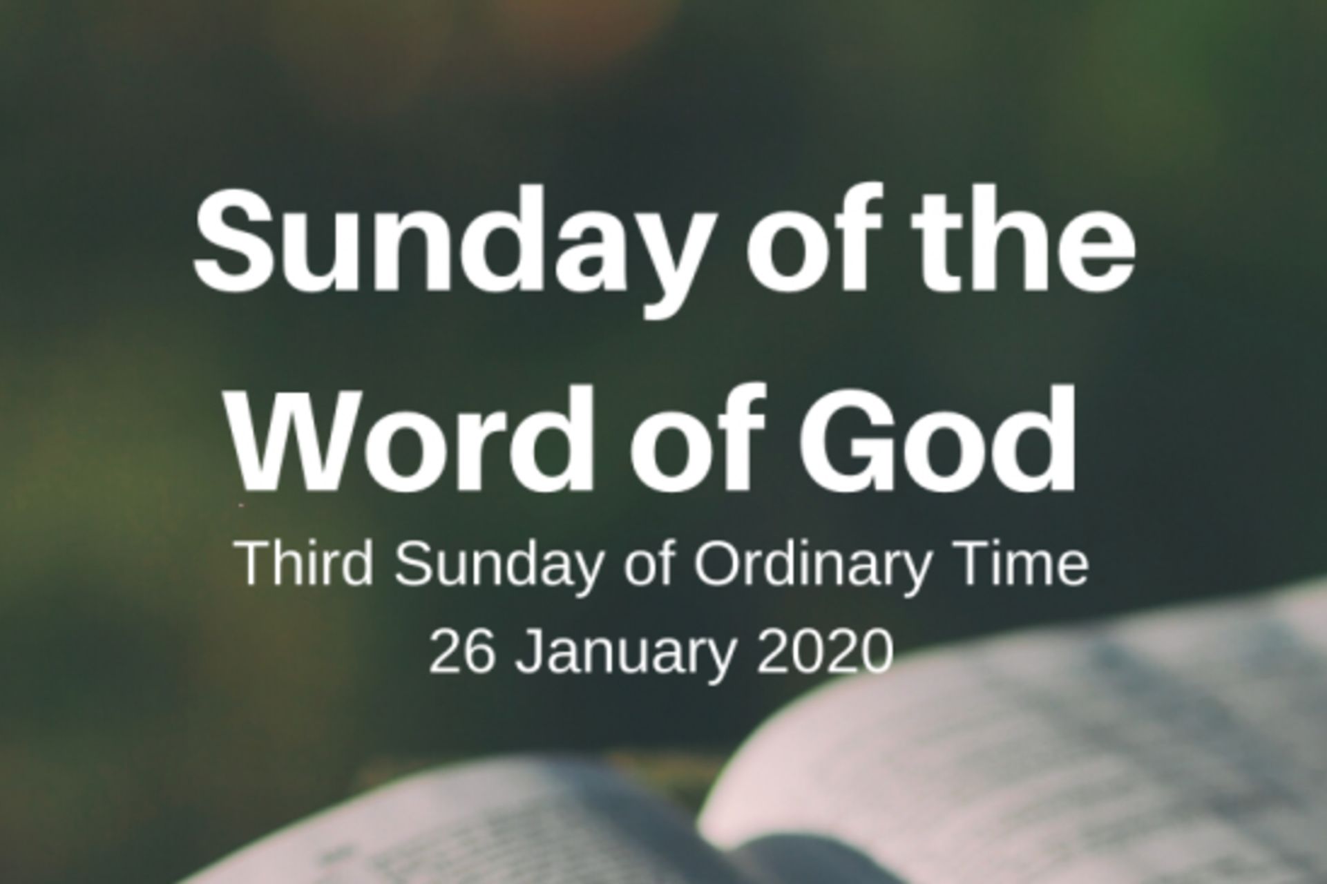 Resources for 'Sunday of the Word of God' Resources for 'Sunday of the Word of God'