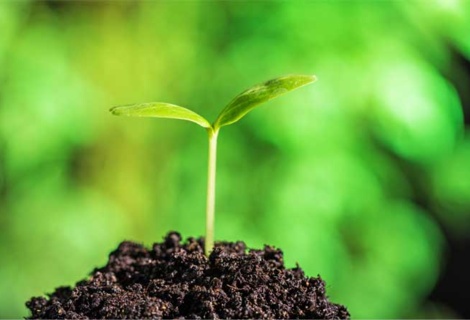 New Life Within Us