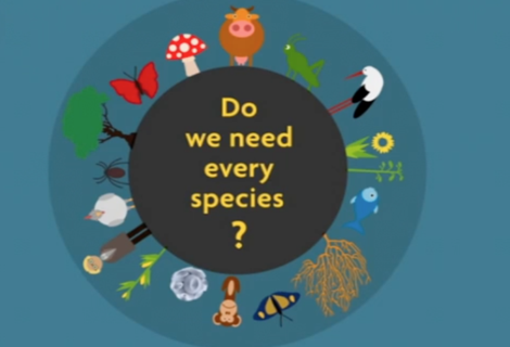 Biodiversity